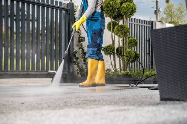 Best Fence Cleaning and Maintenance in South Palm Beach, FL